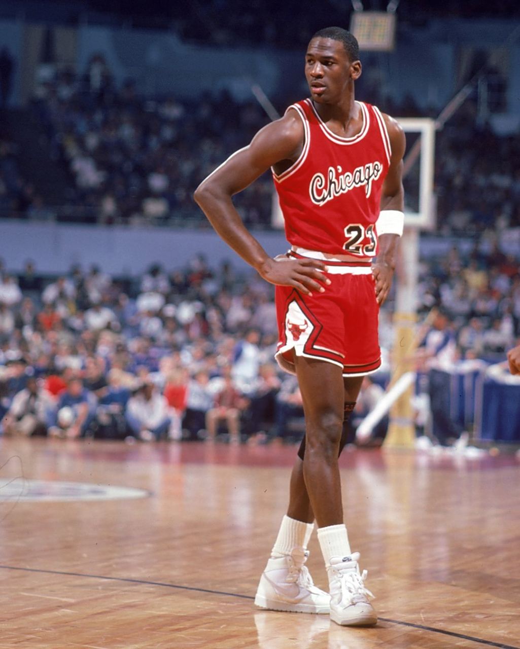 加盟为津门 加盟为津门