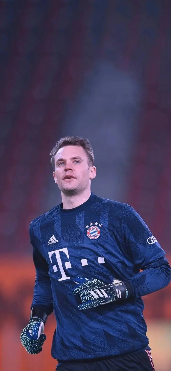 杯明星进行 杯明星进行