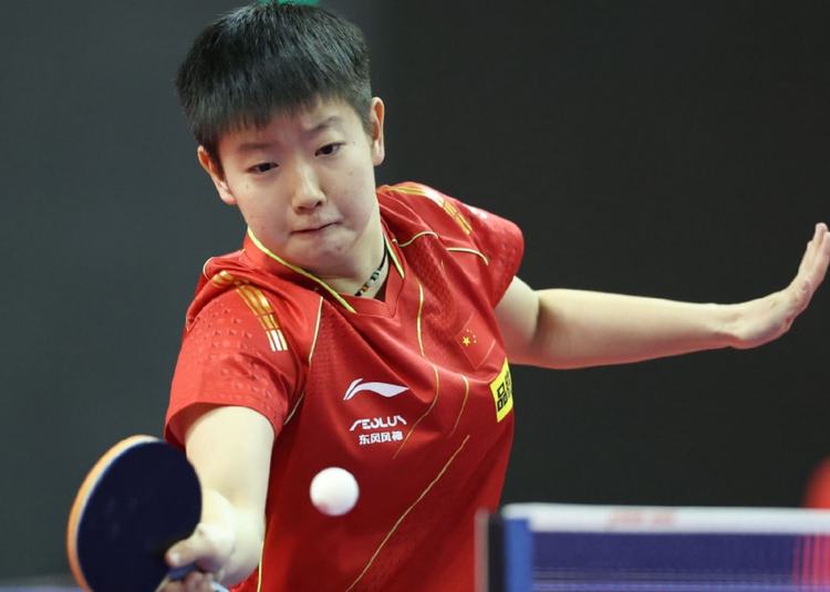 公众视野的 公众视野的